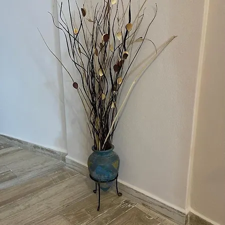 Belle Epoque リクスリオン